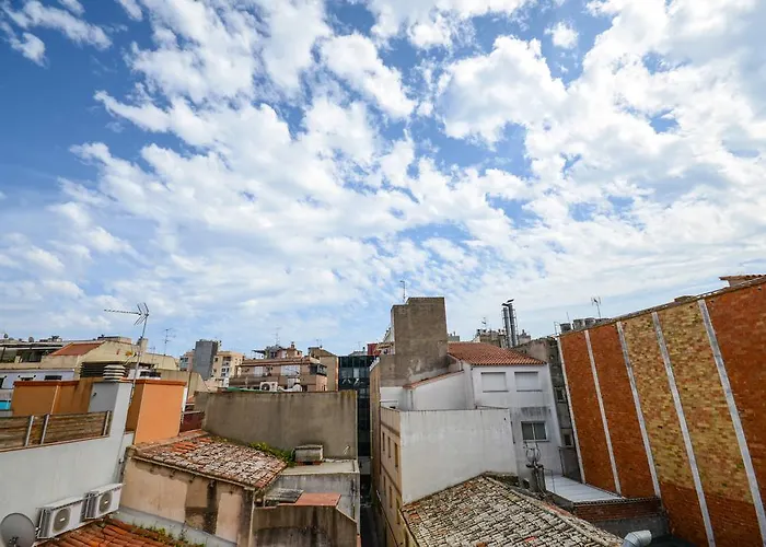 Guest house Ancora 3*